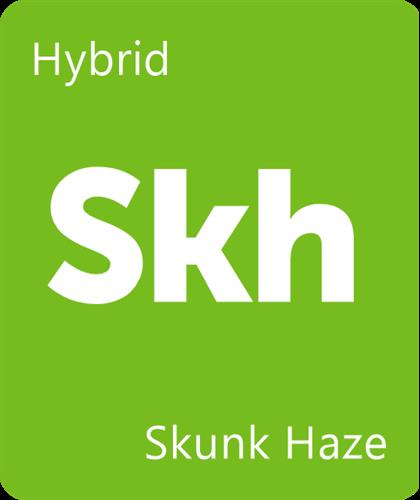 Strain slide